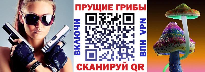 закладка  Дальнегорск  МЕГА вход  Псилоцибиновые грибы MAGIC MUSHROOMS 